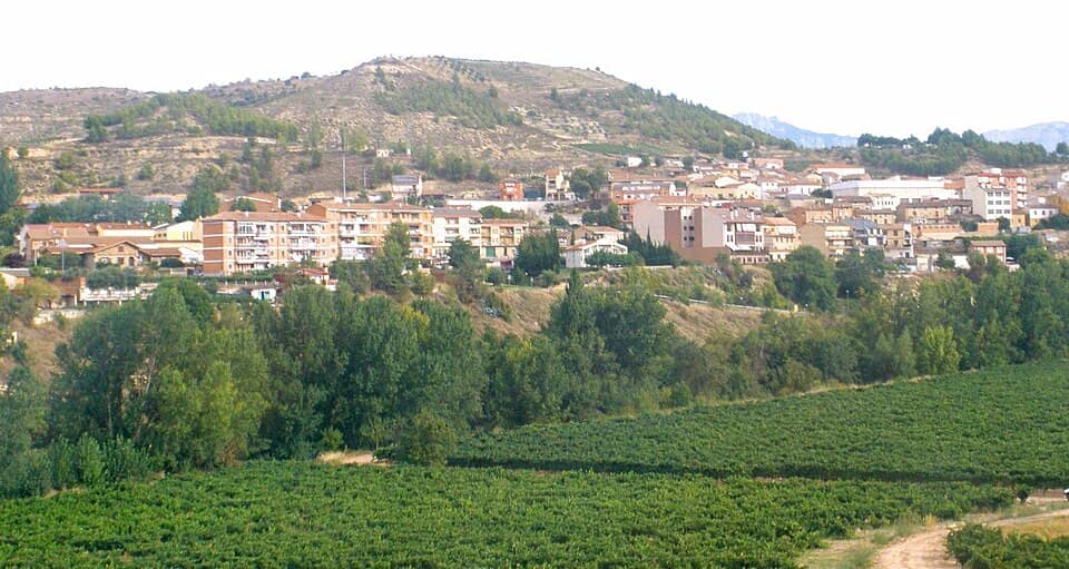 Vista de Lapuebla de Labarca