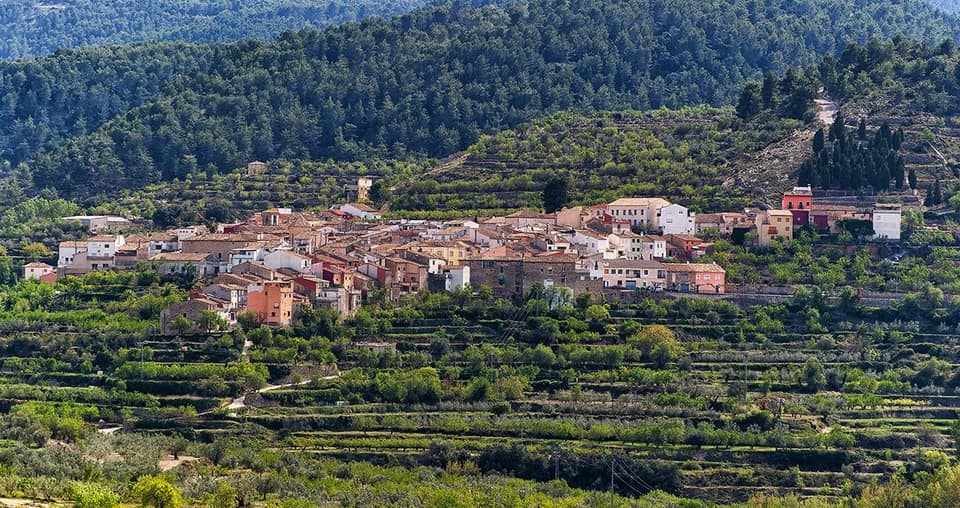 Vista de Alcoleja