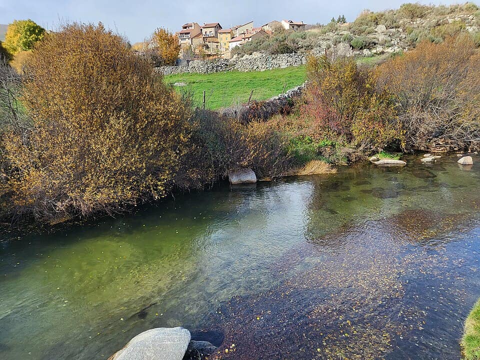 Vista de San Martín del Pimpollar