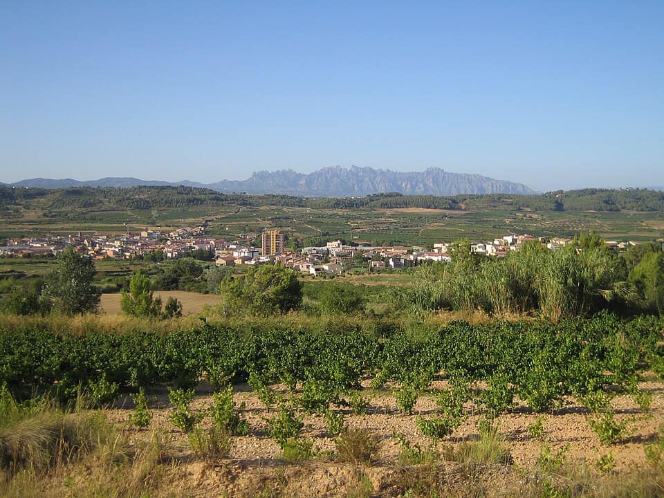 Vista de Sant Pere de Riudebitlles