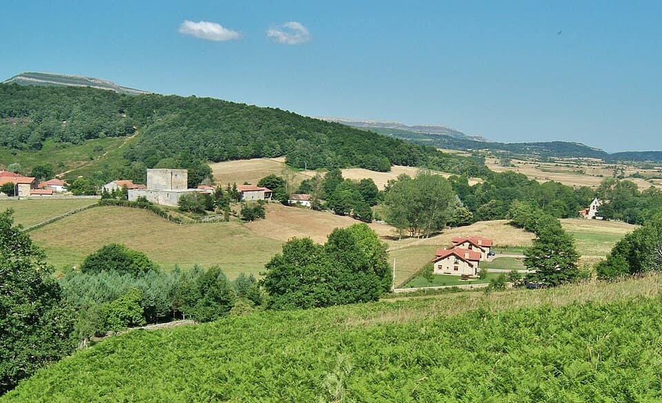 Vista de Valle de Valdebezana