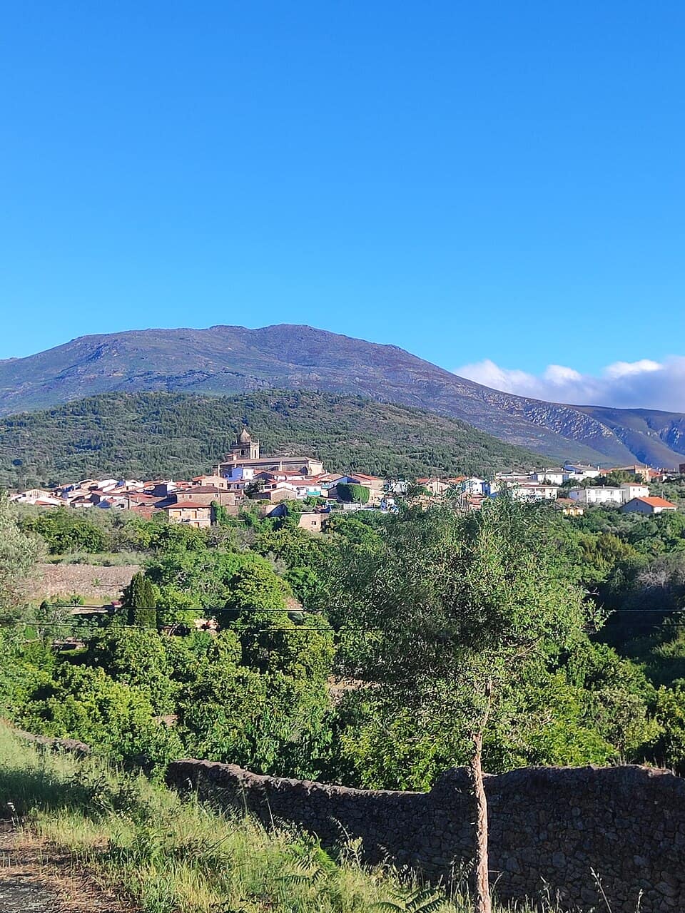Vista de Acebo
