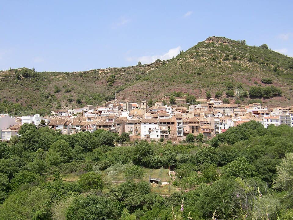 Vista de Algimia de Almonacid