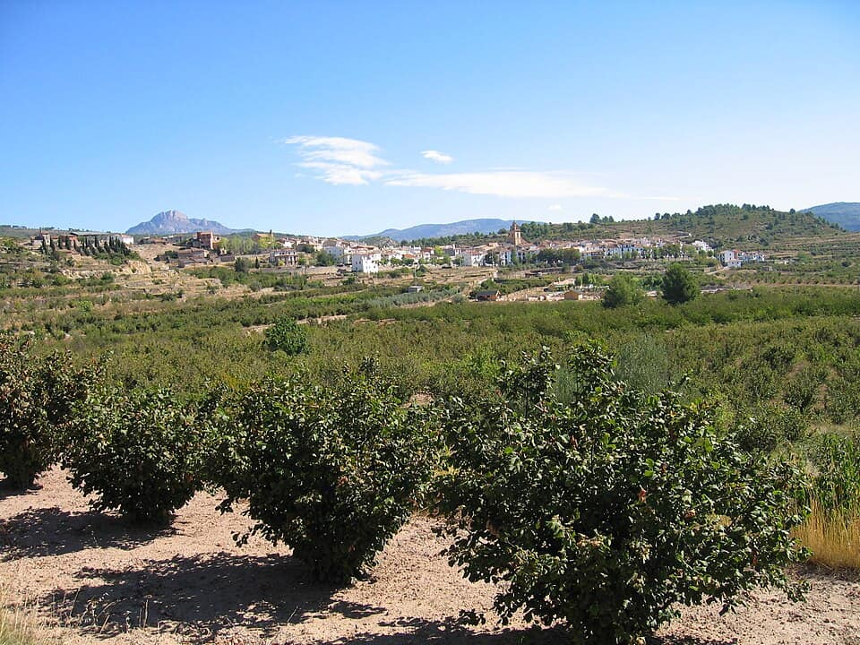 Vista de Zucaina