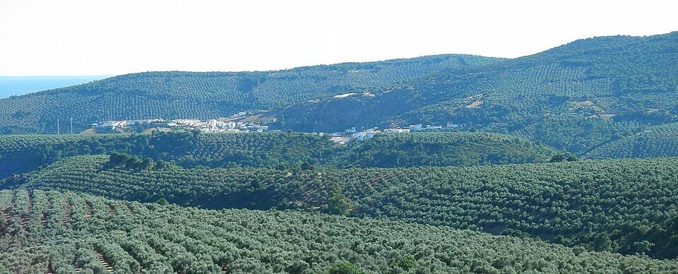 Vista de Fuencaliente