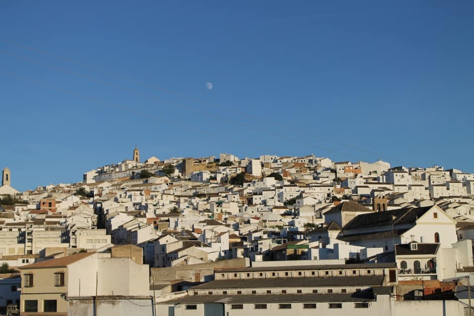 Vista de Baena
