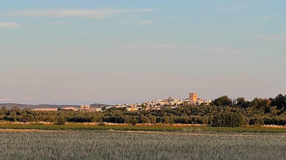 Vista de El Carpio