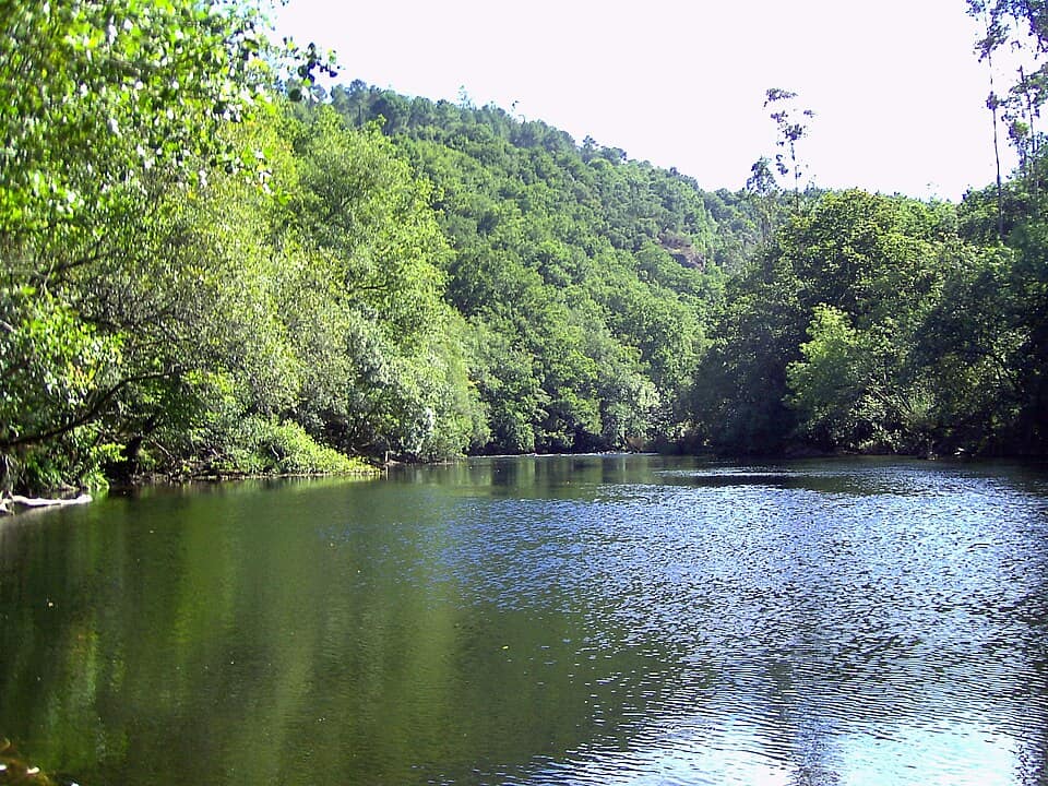 Vista de Touro