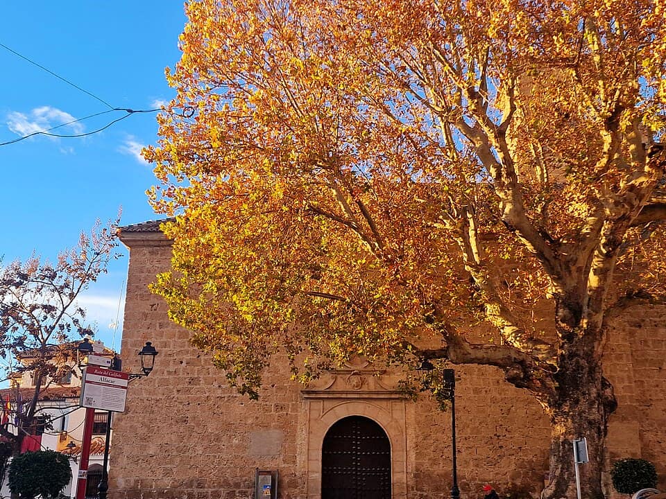 Vista de Alfacar