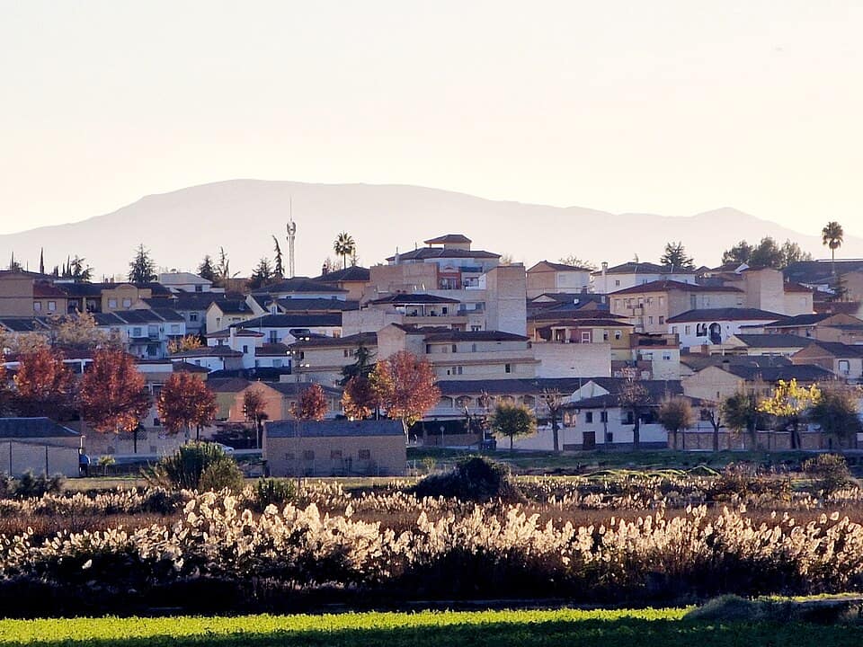 Vista de Láchar