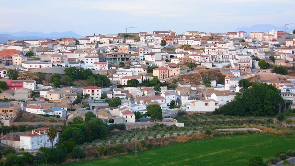Vista de Moraleda de Zafayona