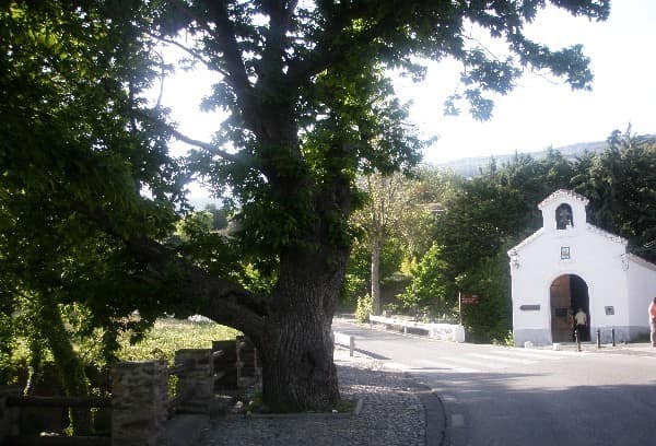 Vista de Pórtugos
