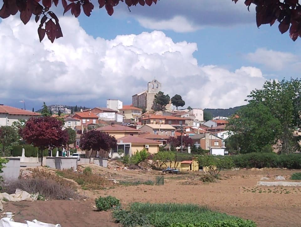 Vista de Tórtola de Henares