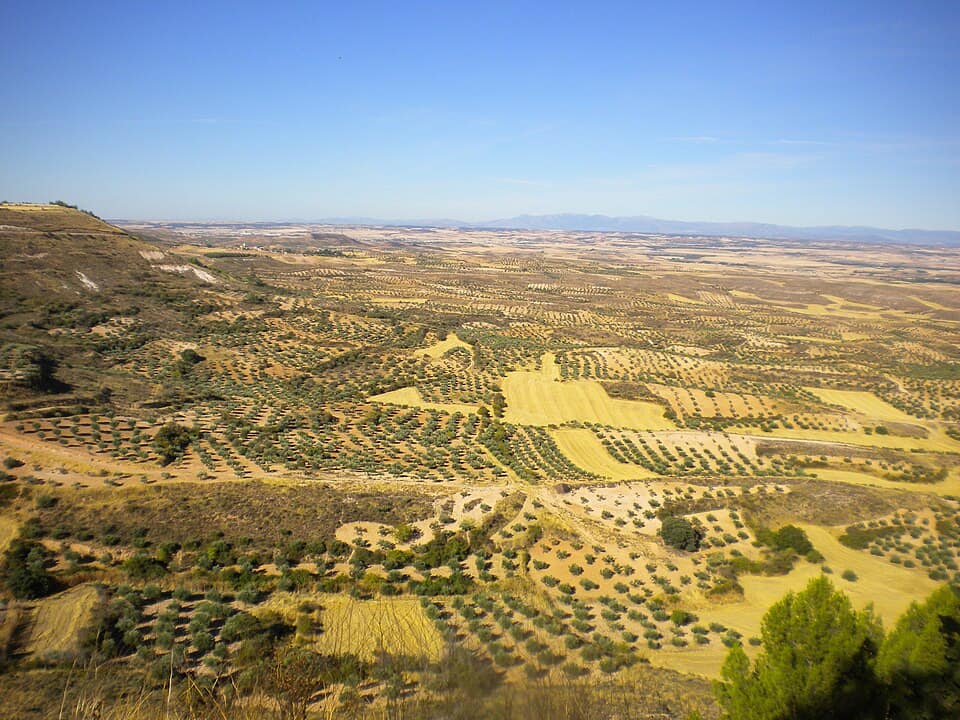 Vista de Trijueque