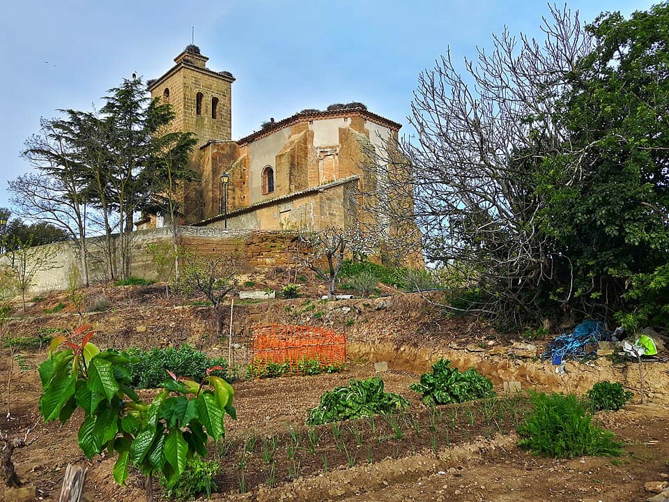 Vista de Huerto