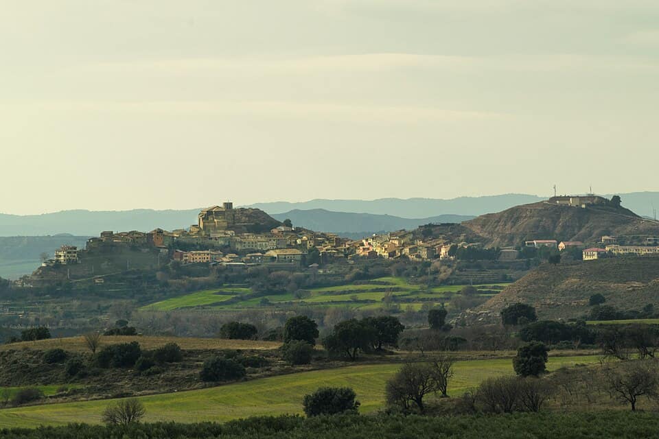 Vista de La Sotonera