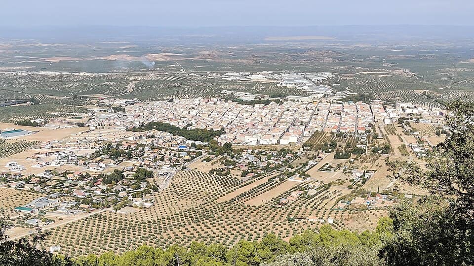 Vista de Mancha Real