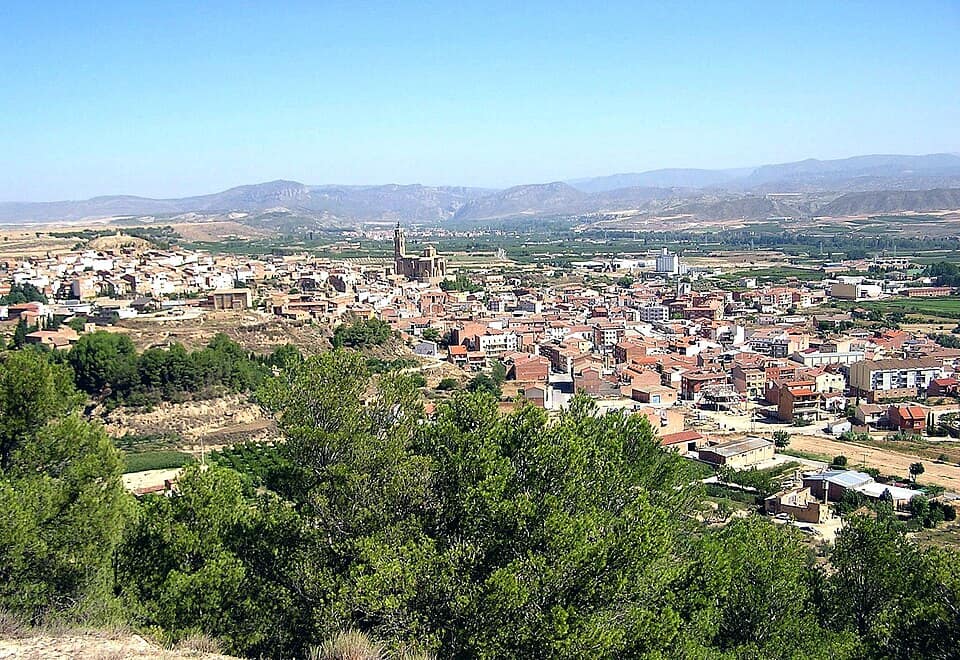 Vista de Almenar