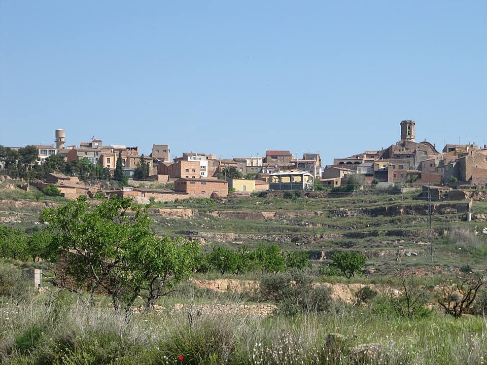 Vista de Granyena de les Garrigues