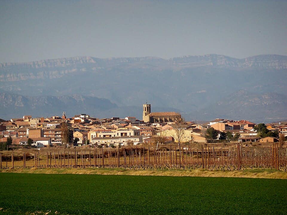Vista de Linyola