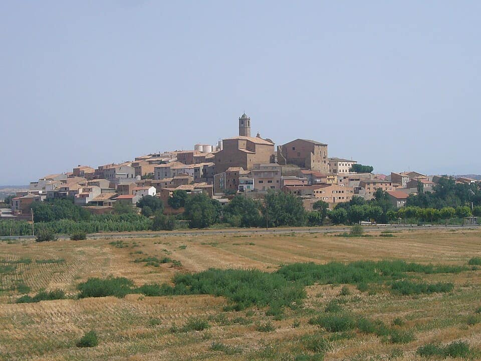 Vista de Puigverd d'Agramunt