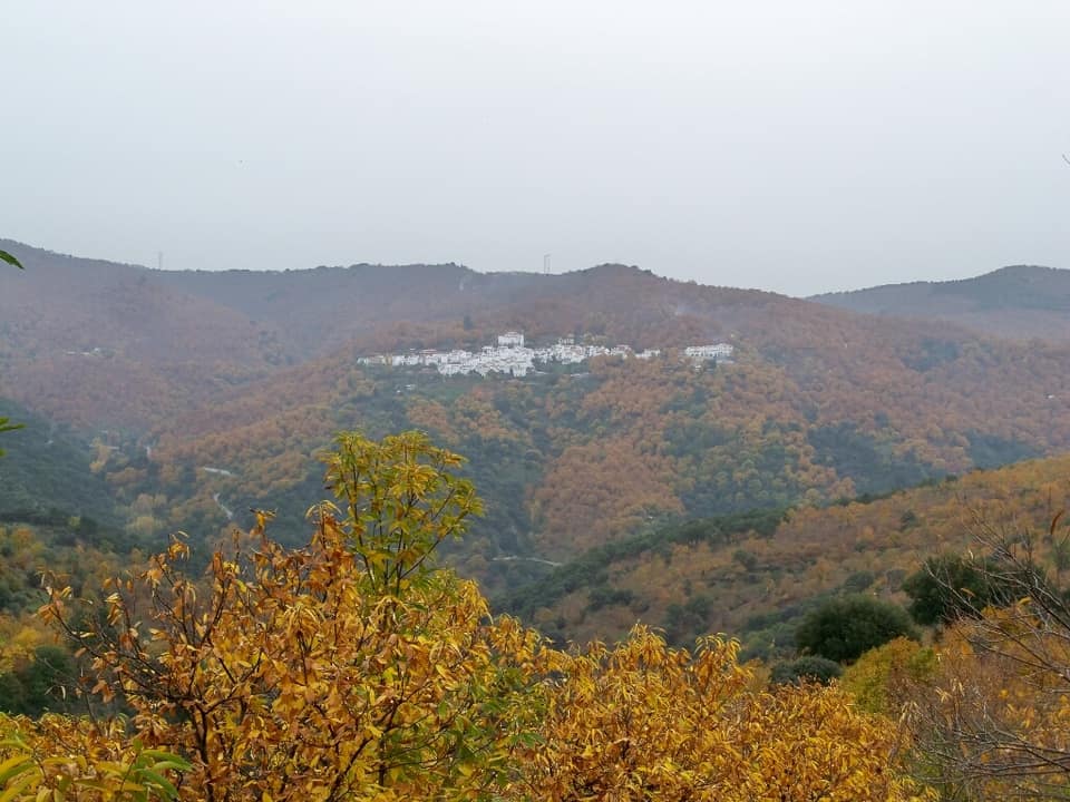 Vista de Pujerra