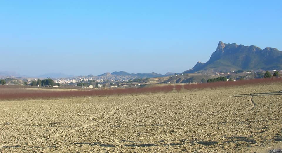 Vista de Cieza