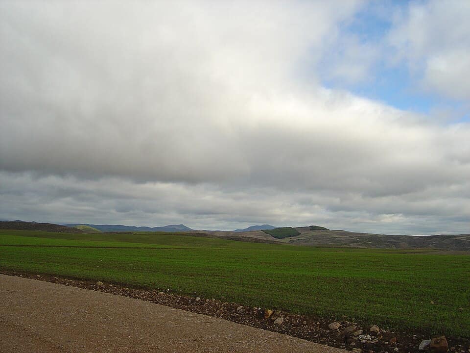 Vista de Armañanzas