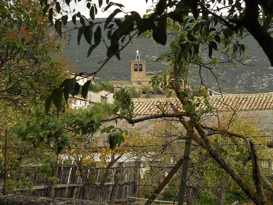 Vista de Liédena