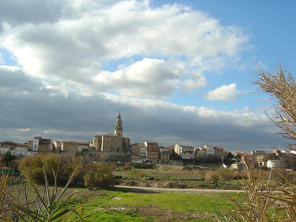Vista de Mendavia