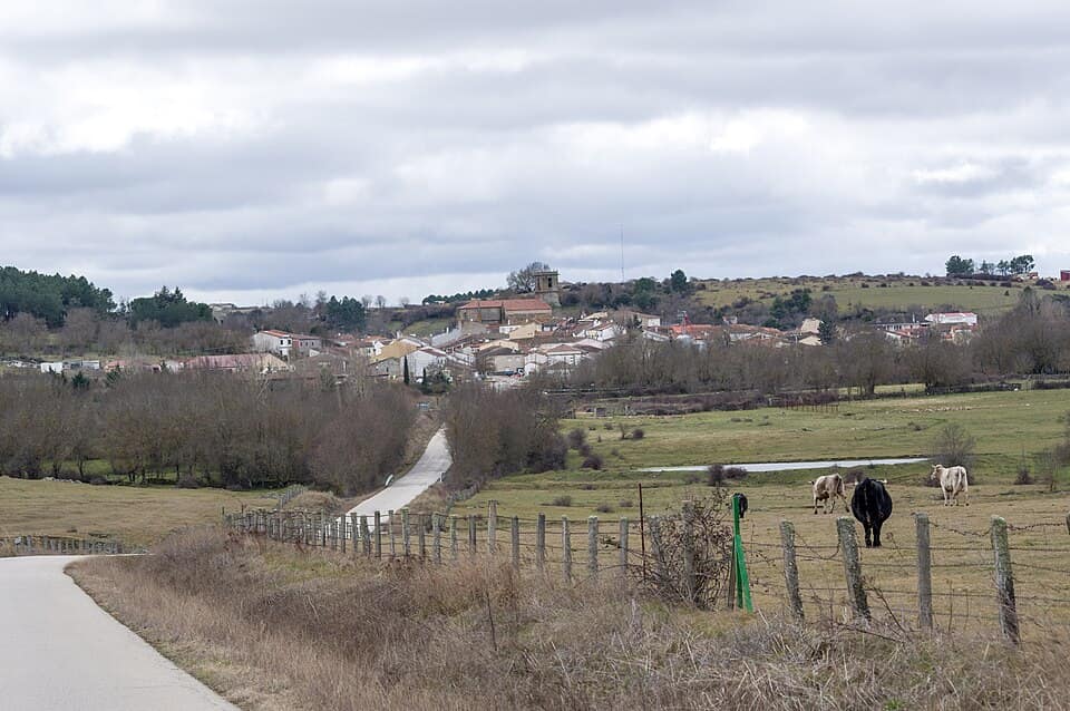 Vista de Endrinal