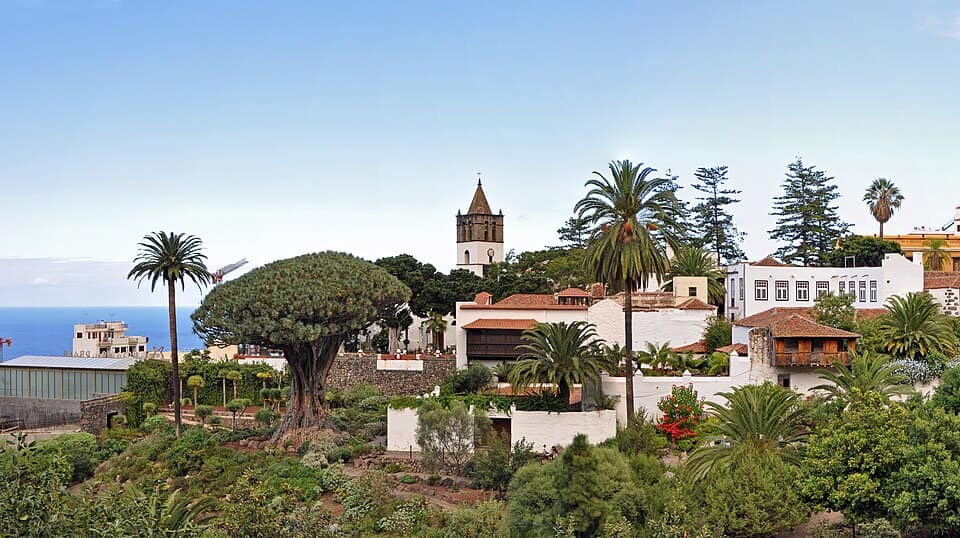 Vista de Icod de los Vinos