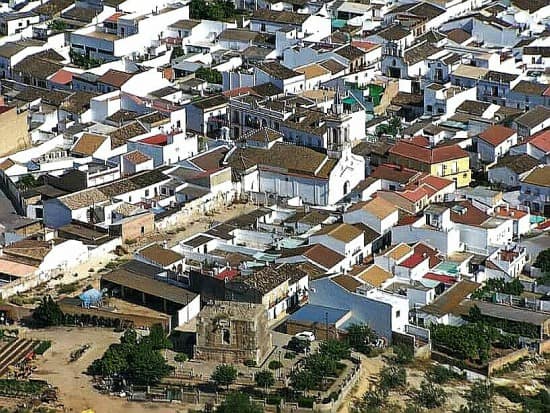 Vista de Albaida del Aljarafe