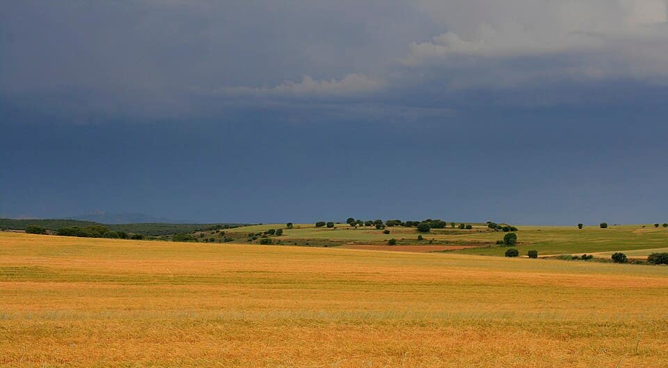 Vista de Bliecos