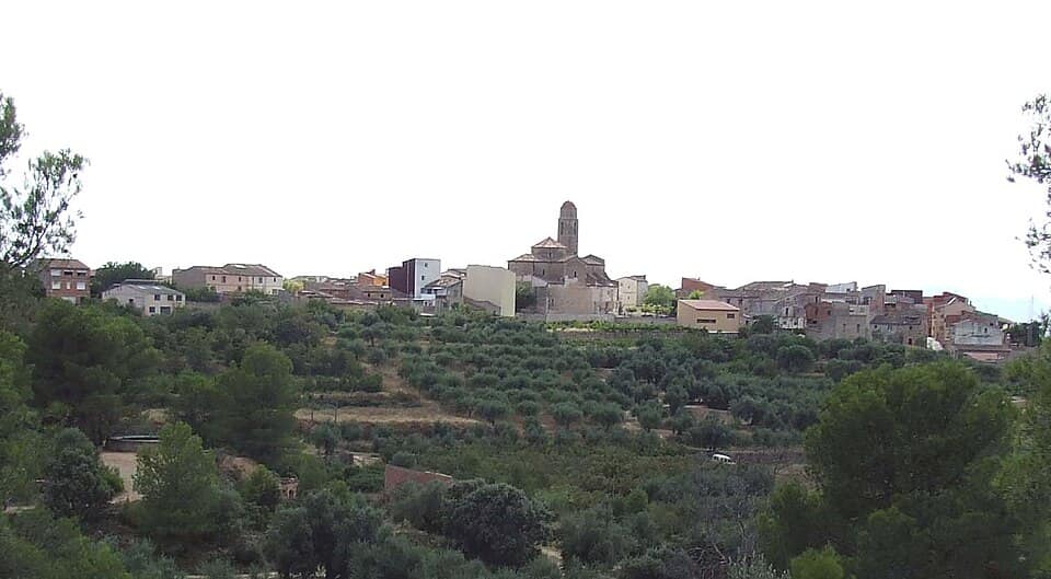 Vista de Guiamets, Els