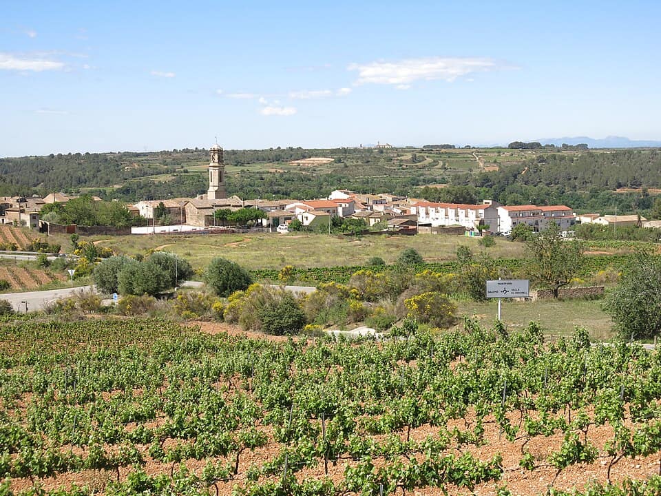 Vista de Montferri