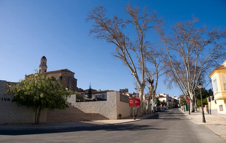 Vista de Vallmoll