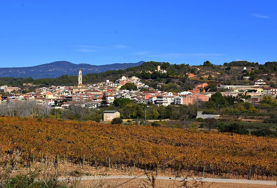 Vista de Vila-rodona