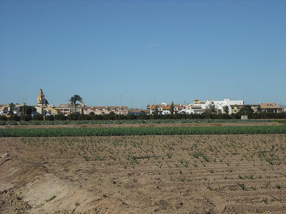 Vista de Albalat dels Sorells