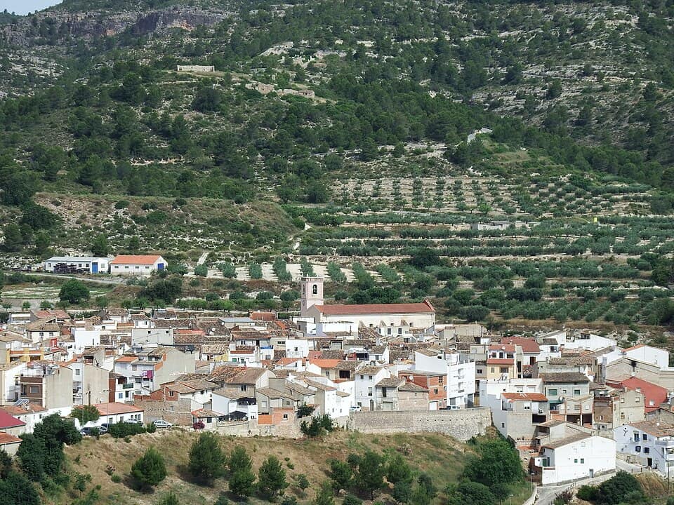 Vista de Bicorp