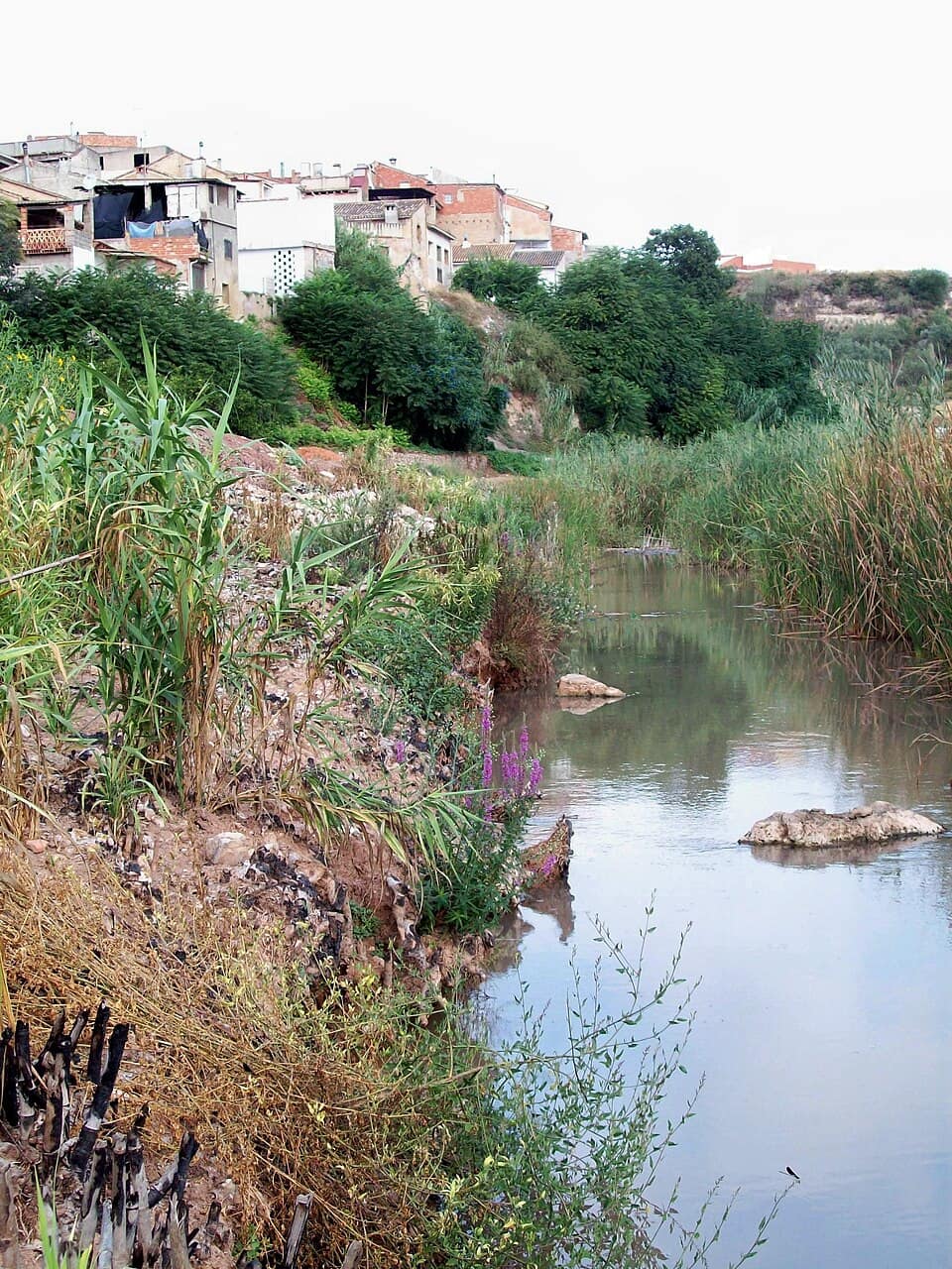 Vista de Sellent