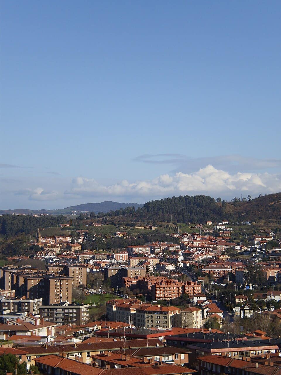 Vista de Berango