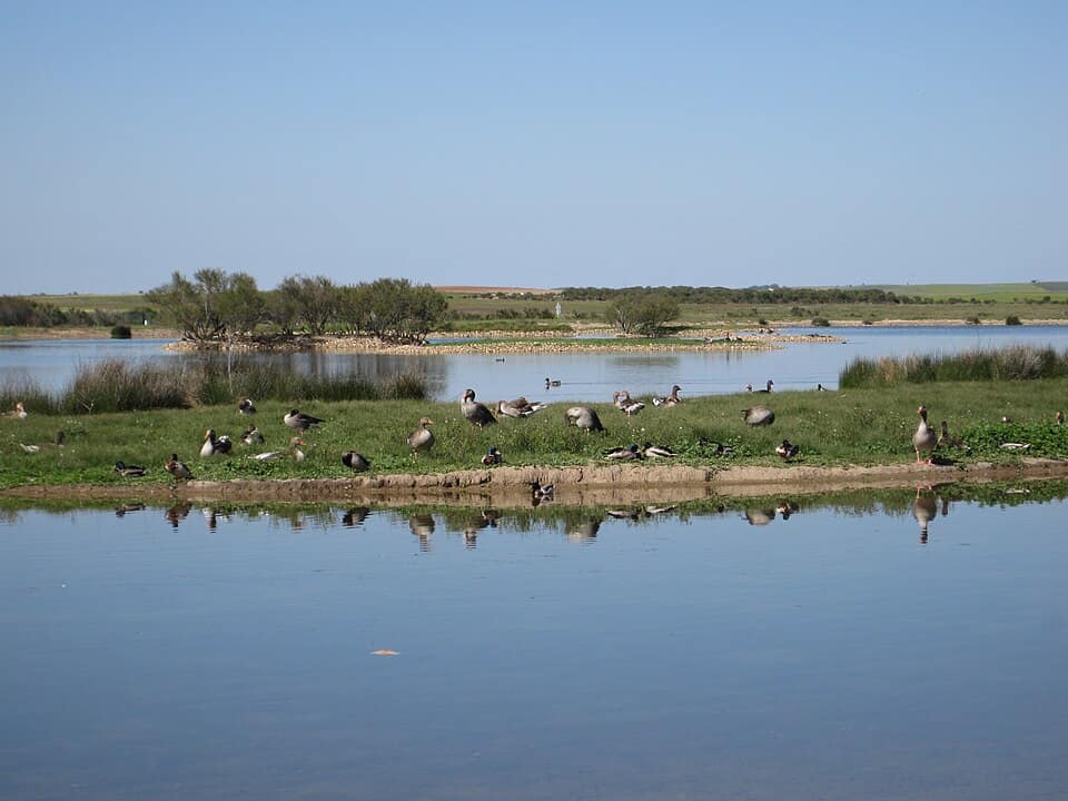 Vista de Villafáfila