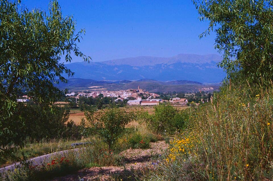 Vista de Vera de Moncayo
